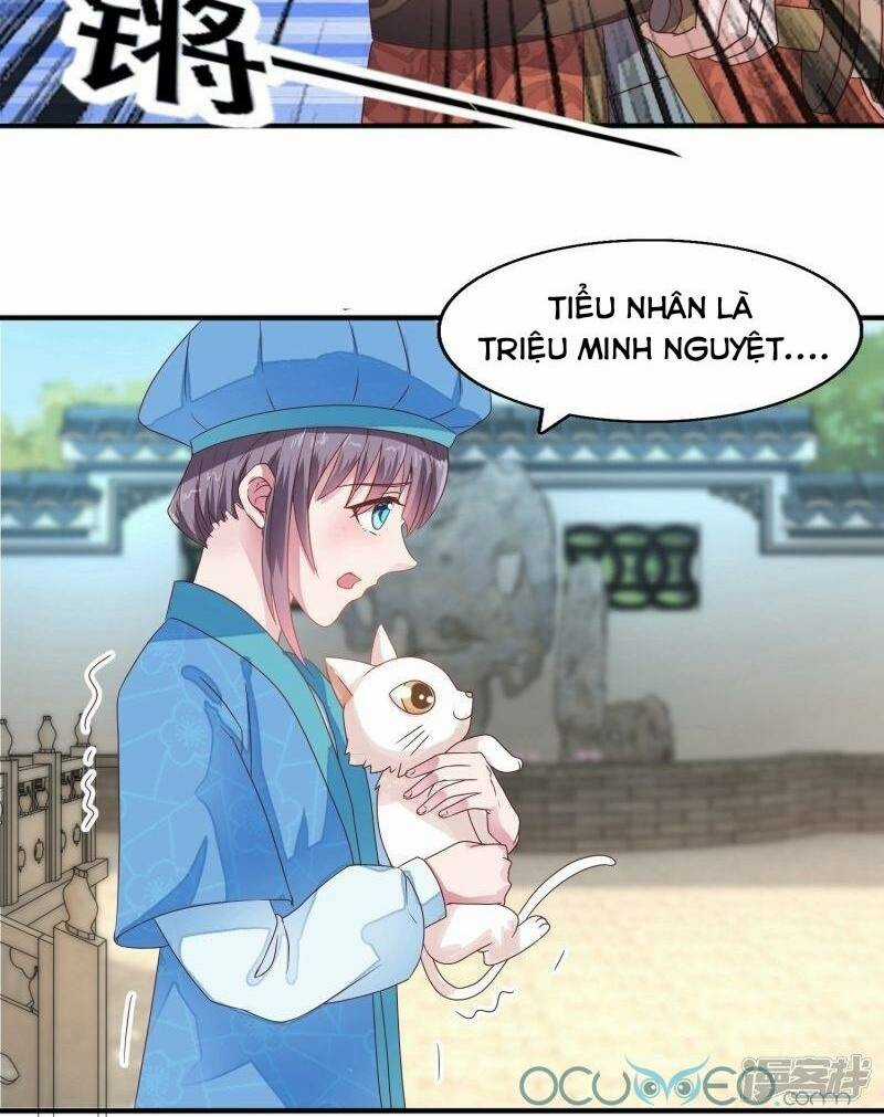 Tư Sủng Âm Dương Phi - Chapter 19 - Trang 6