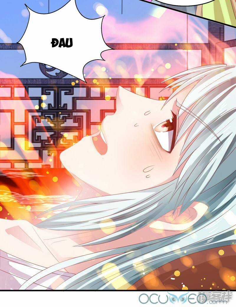 Tư Sủng Âm Dương Phi - Chapter 23 - Trang 20