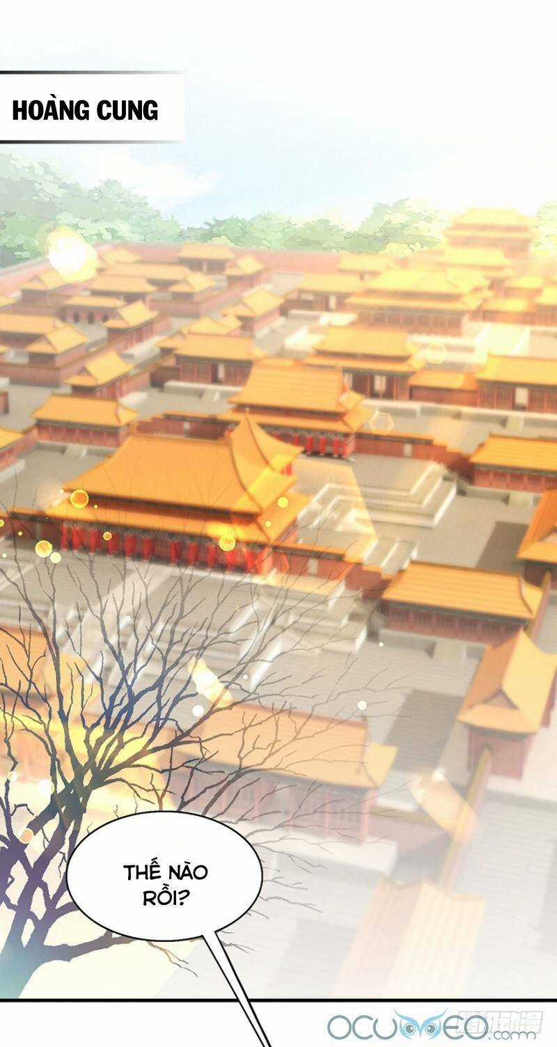 Tư Sủng Âm Dương Phi - Chapter 29 - Trang 6