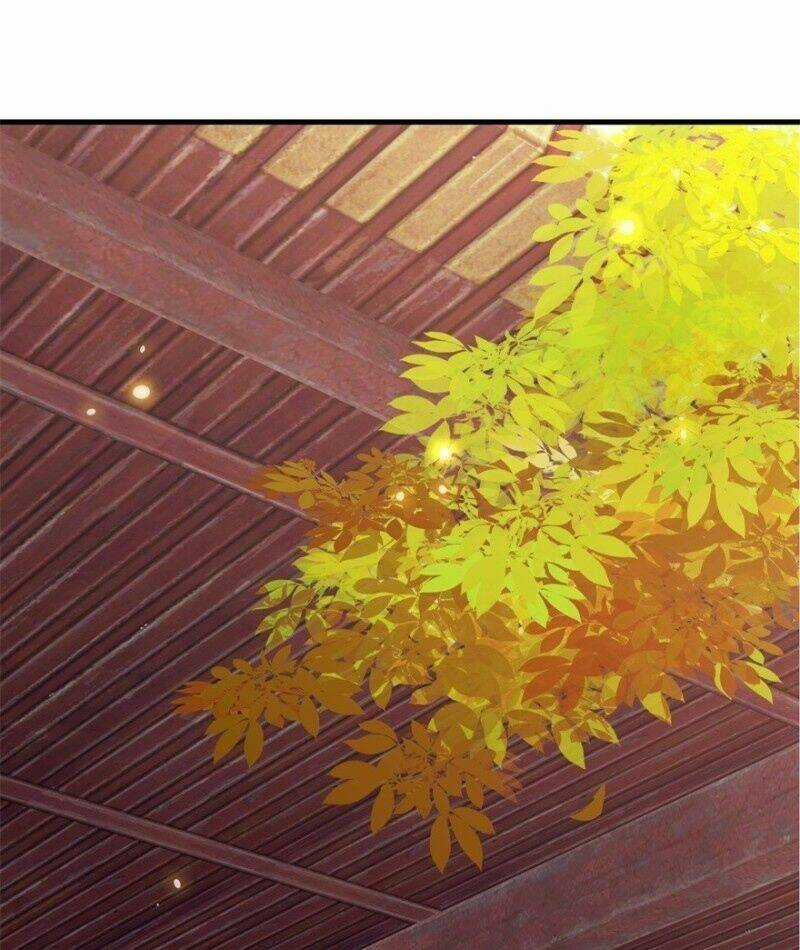 Tư Sủng Âm Dương Phi - Chapter 4 - Trang 30