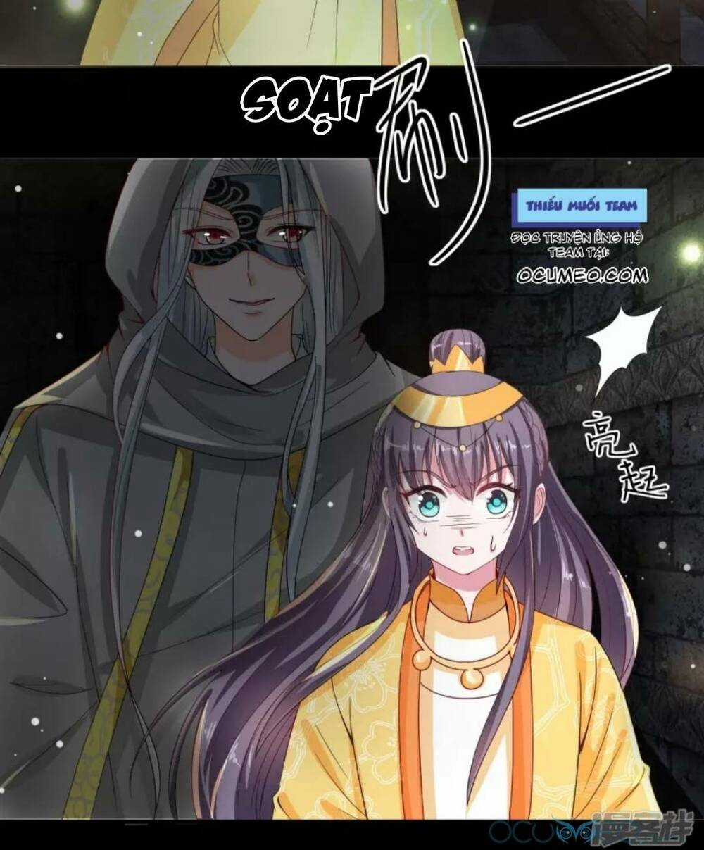 Tư Sủng Âm Dương Phi - Chapter 42 - Trang 4