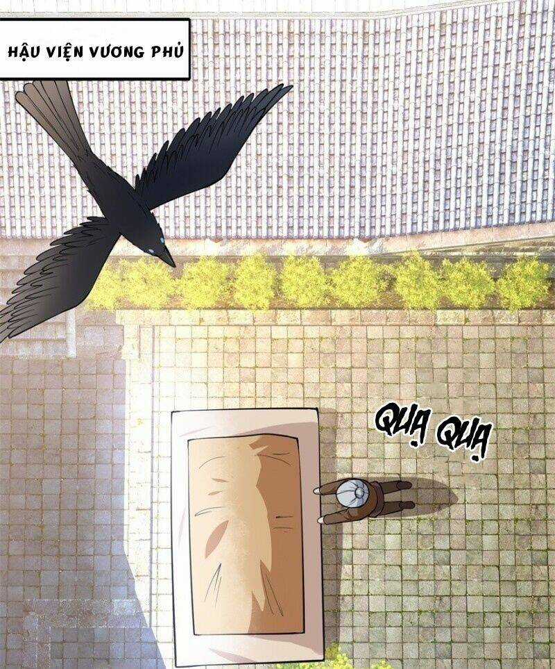 Tư Sủng Âm Dương Phi - Chapter 6 - Trang 11