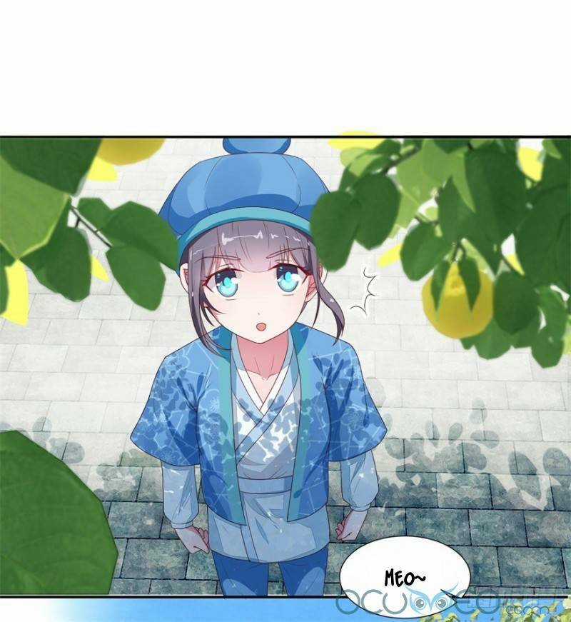 Tư Sủng Âm Dương Phi - Chapter 9 - Trang 14