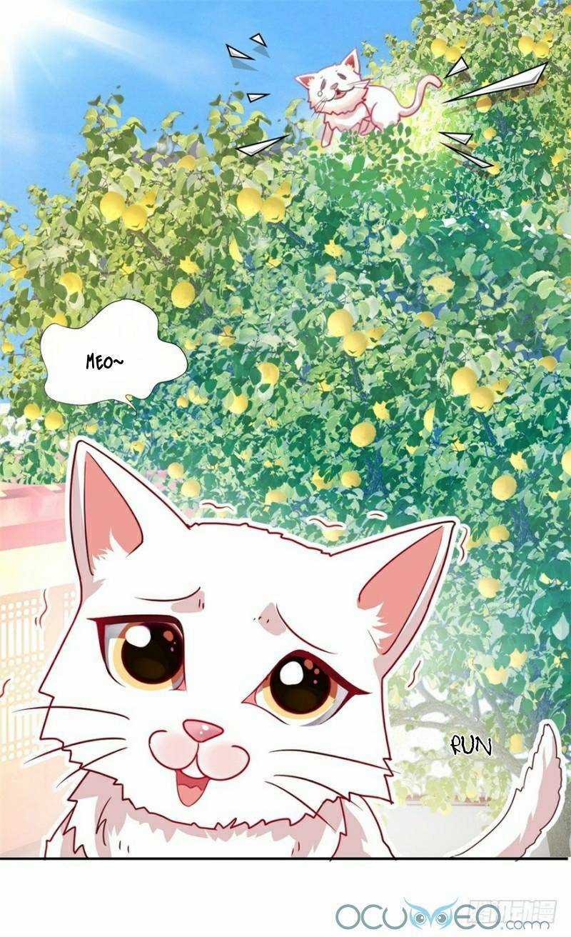 Tư Sủng Âm Dương Phi - Chapter 9 - Trang 15