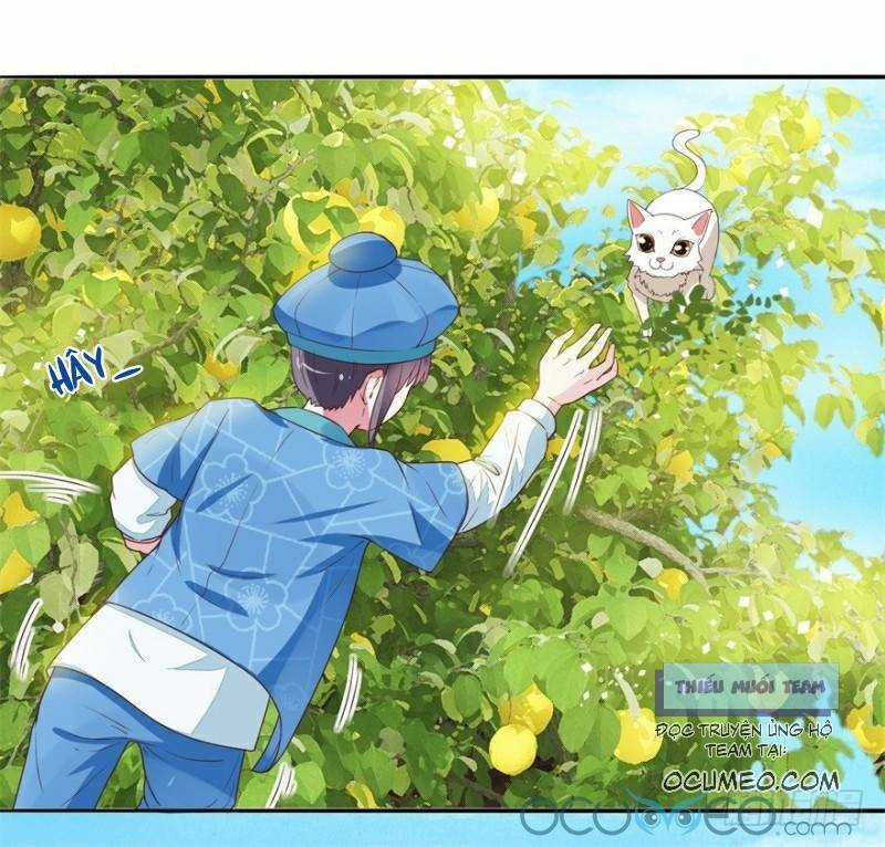 Tư Sủng Âm Dương Phi - Chapter 9 - Trang 21