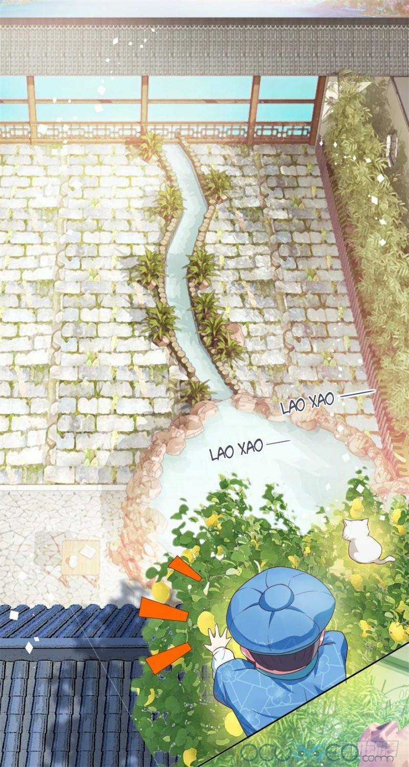 Tư Sủng Âm Dương Phi - Chapter 9 - Trang 23