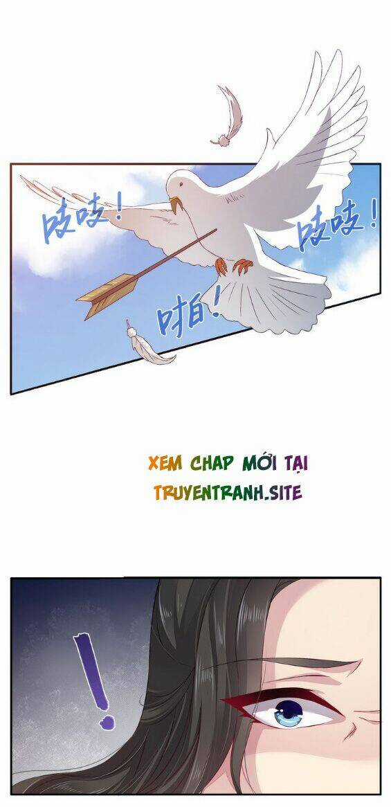 Tuấn Sủng Có Độc - Chapter 4 - Trang 6