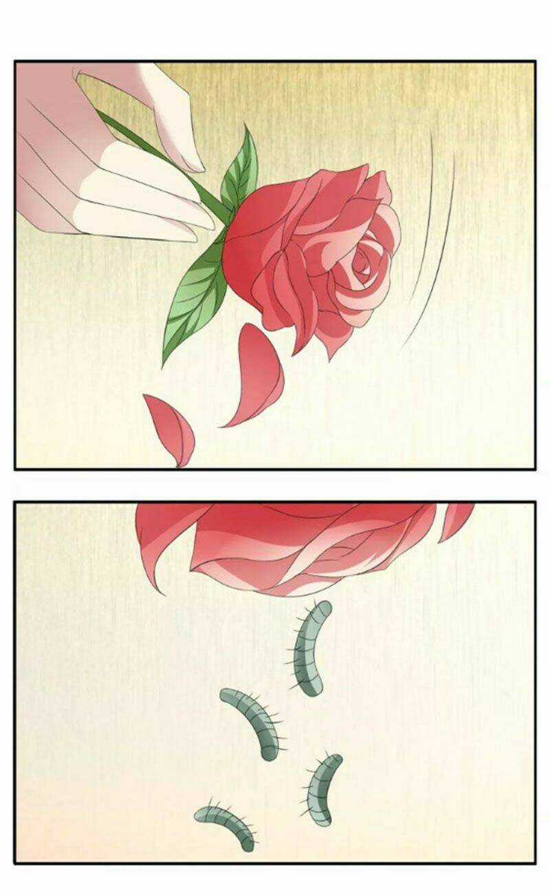 Tuấn Sủng Có Độc - Chapter 7 - Trang 6