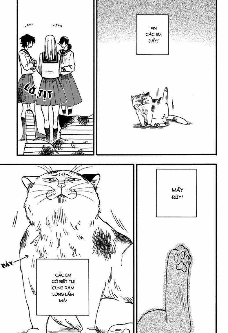 Tui Là Busamen - Chapter 1 - Trang 17