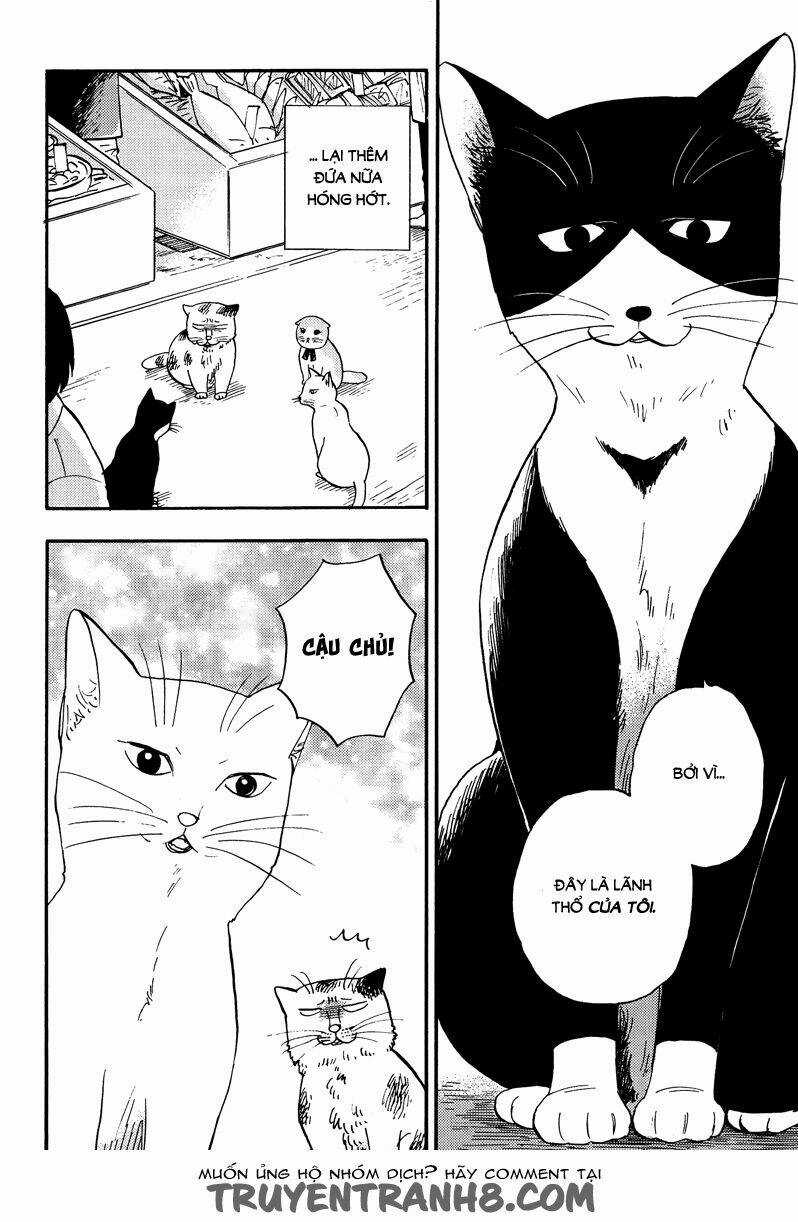 Tui Là Busamen - Chapter 3 - Trang 17