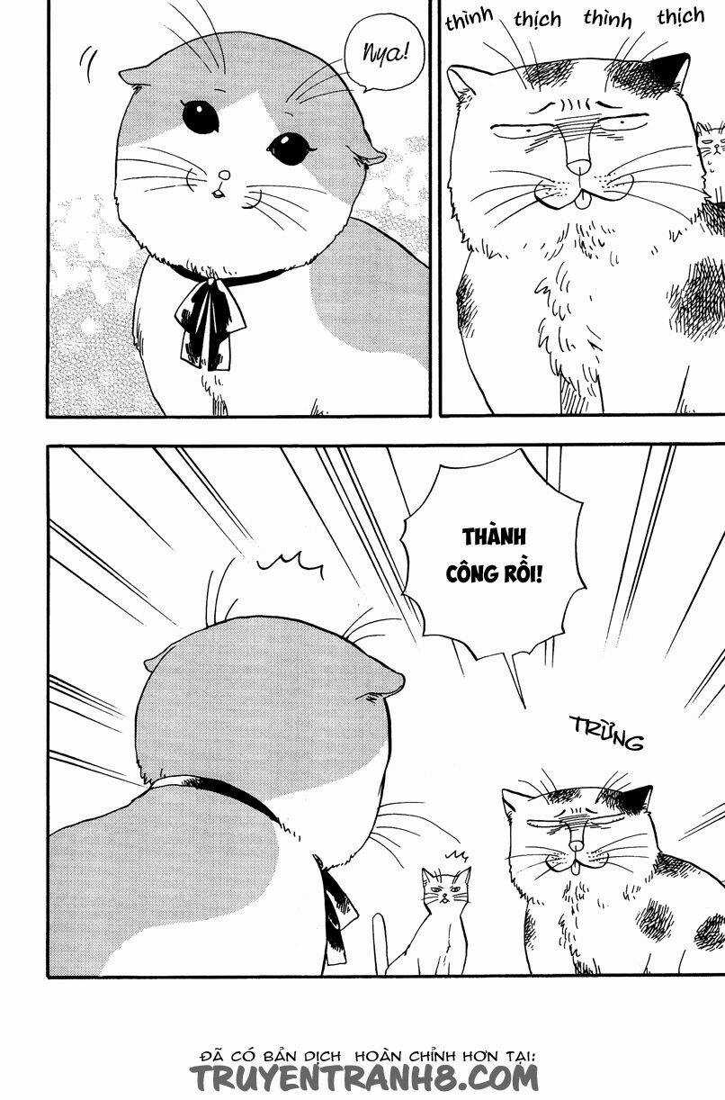 Tui Là Busamen - Chapter 3 - Trang 3