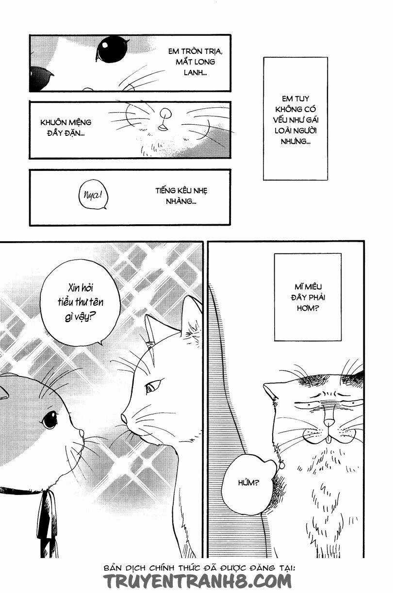 Tui Là Busamen - Chapter 3 - Trang 4