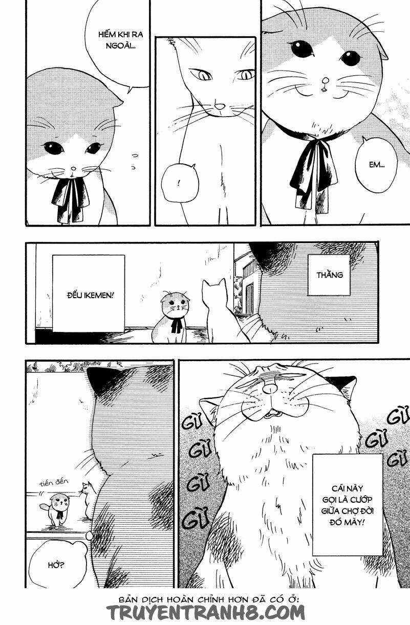 Tui Là Busamen - Chapter 3 - Trang 5