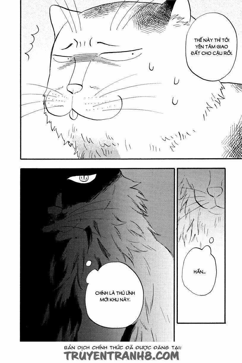 Tui Là Busamen - Chapter 4 - Trang 17