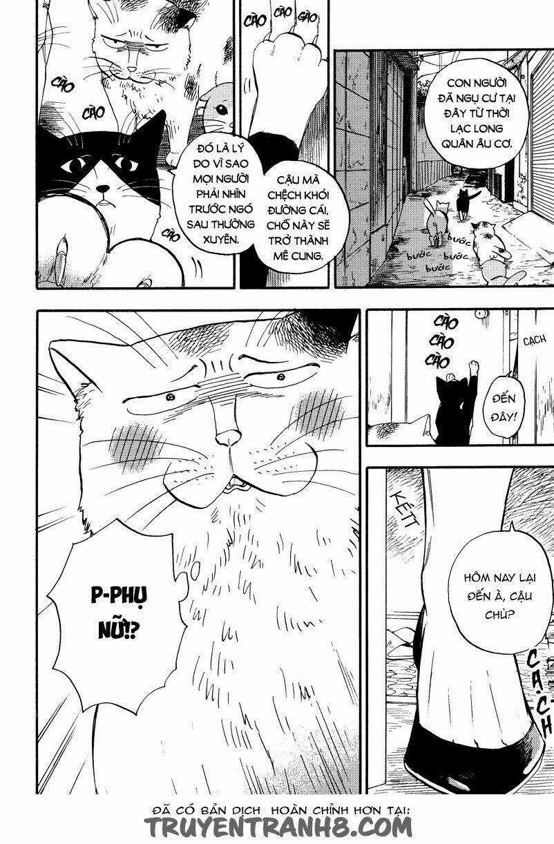 Tui Là Busamen - Chapter 4 - Trang 5