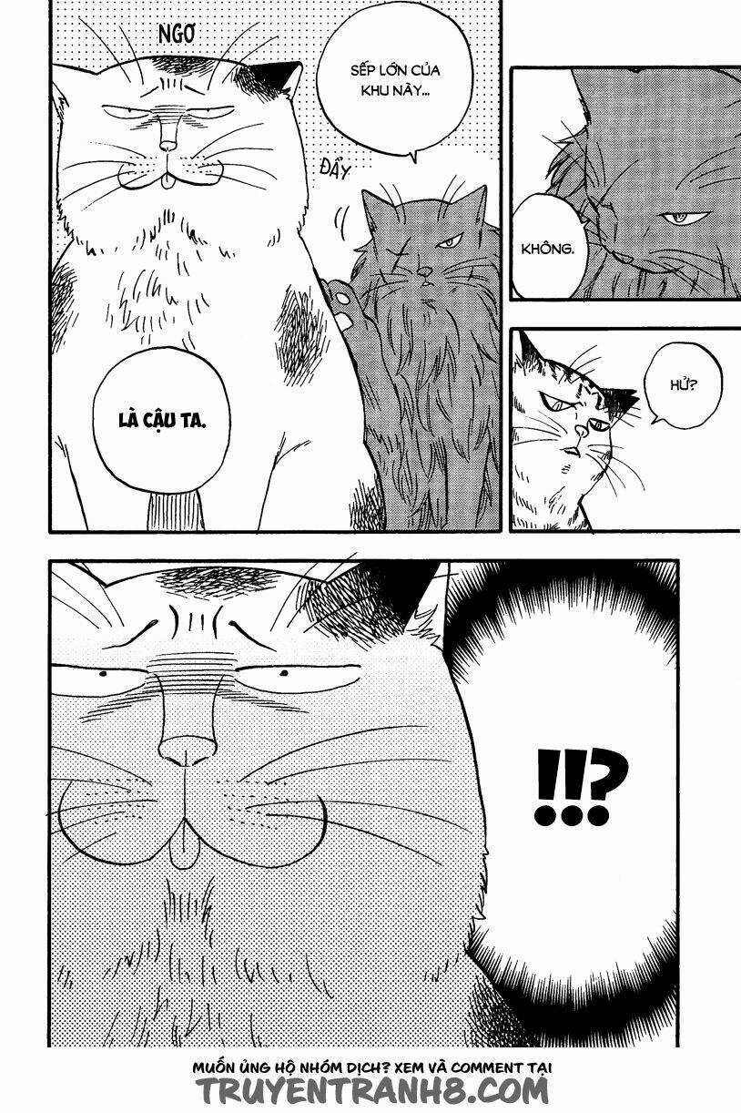 Tui Là Busamen - Chapter 5 - Trang 13