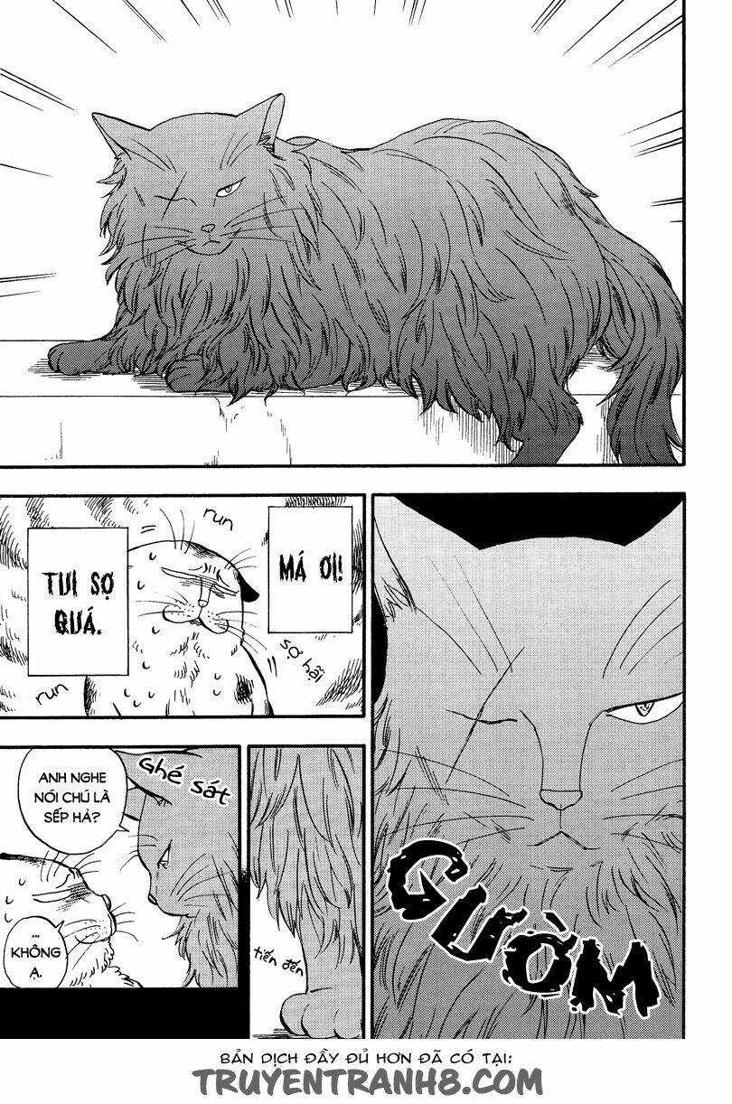 Tui Là Busamen - Chapter 5 - Trang 4