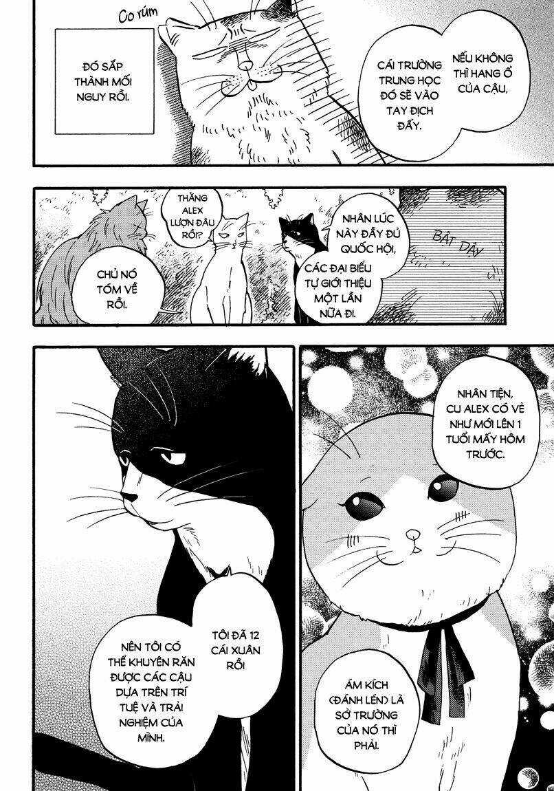 Tui Là Busamen - Chapter 6 - Trang 11
