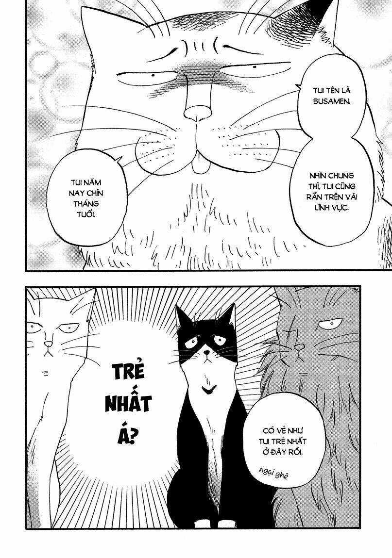 Tui Là Busamen - Chapter 6 - Trang 13