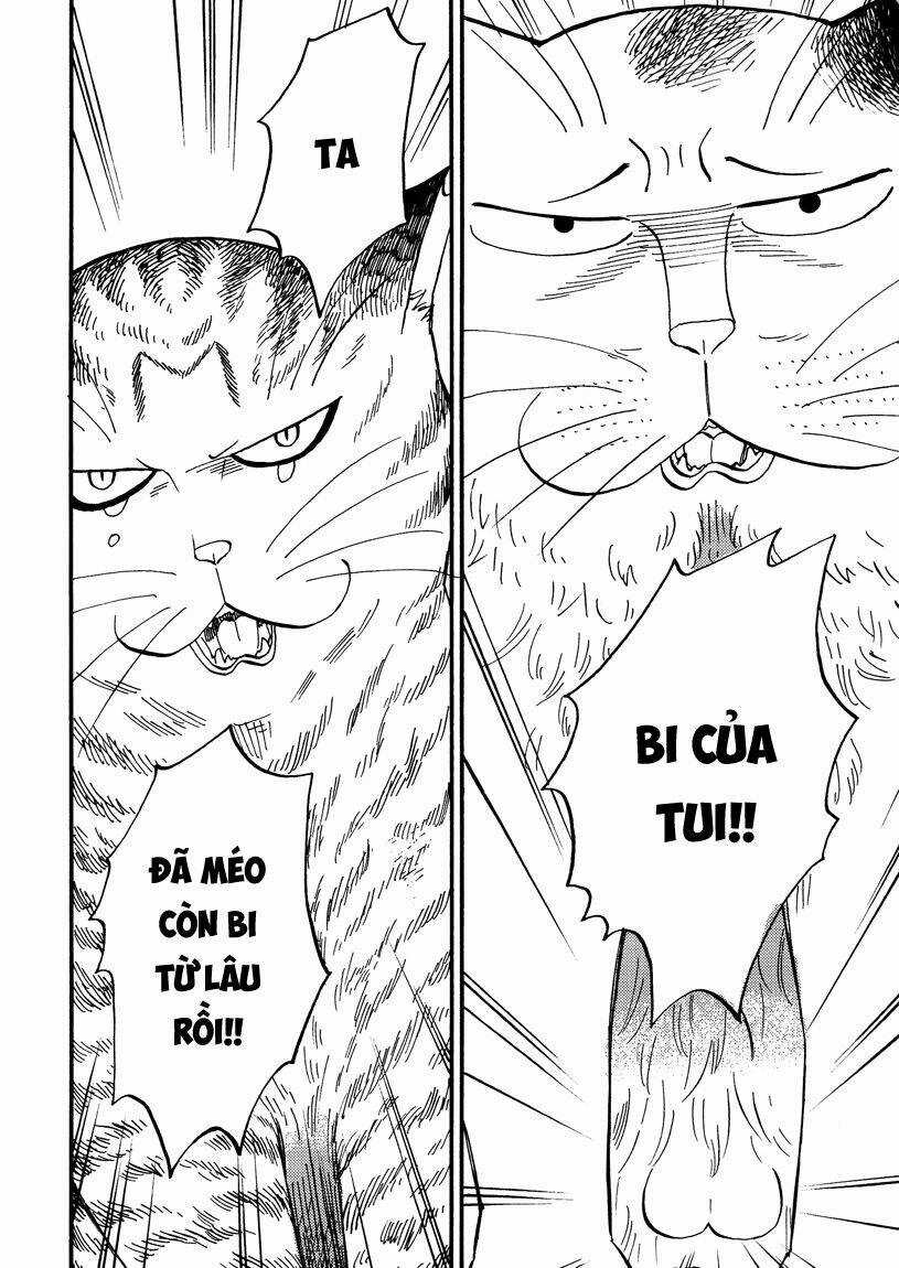 Tui Là Busamen - Chapter 7 - Trang 13