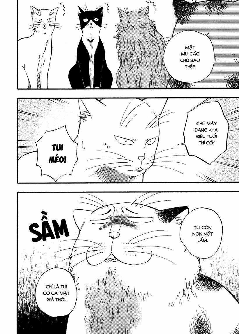 Tui Là Busamen - Chapter 7 - Trang 3