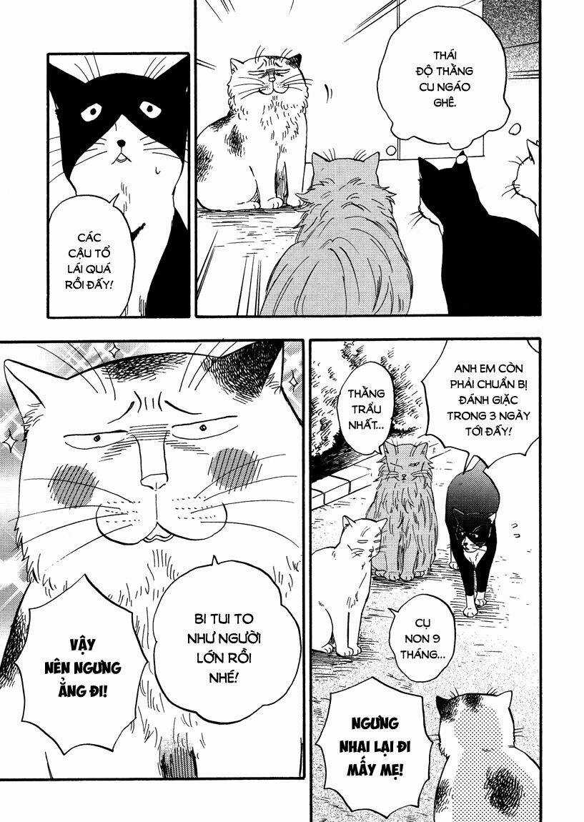 Tui Là Busamen - Chapter 7 - Trang 4