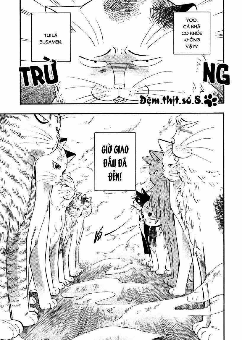 Tui Là Busamen - Chapter 8 - Trang 1