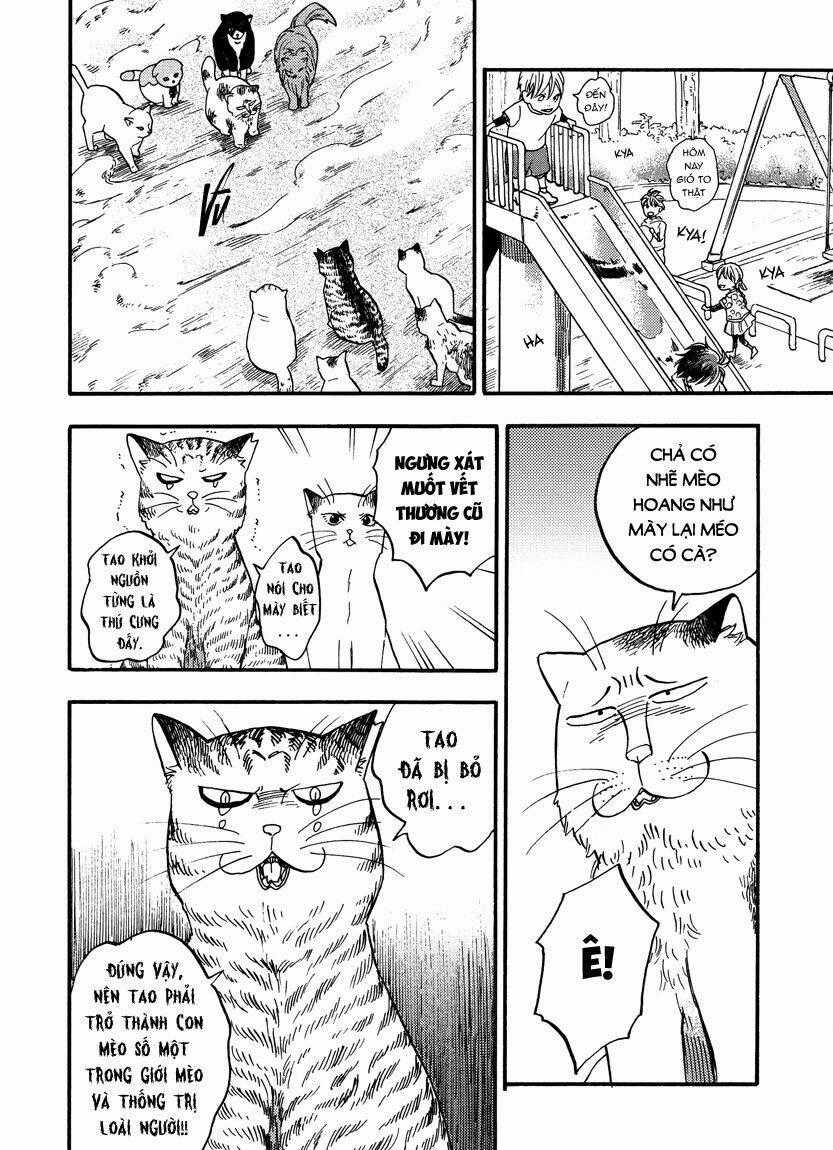 Tui Là Busamen - Chapter 8 - Trang 2