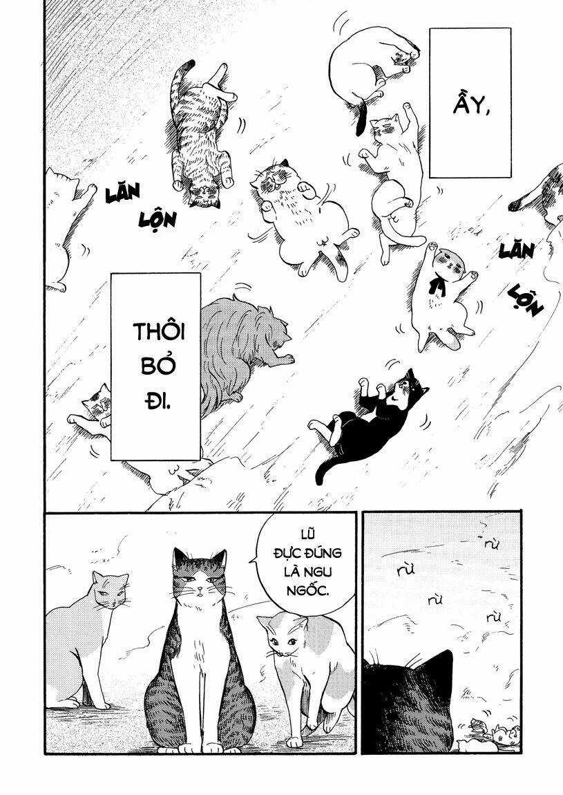 Tui Là Busamen - Chapter 8 - Trang 12