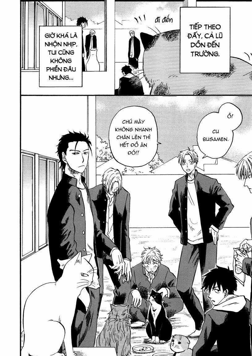 Tui Là Busamen - Chapter 8 - Trang 14