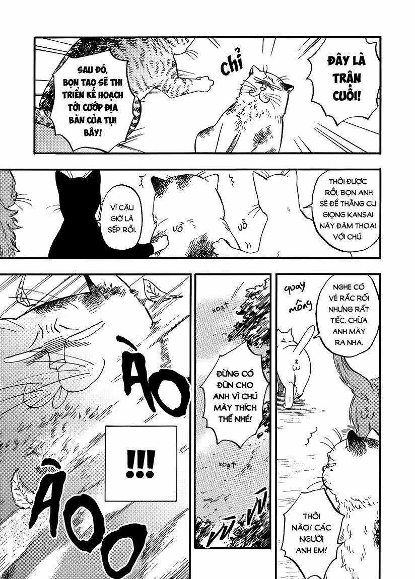 Tui Là Busamen - Chapter 8 - Trang 3