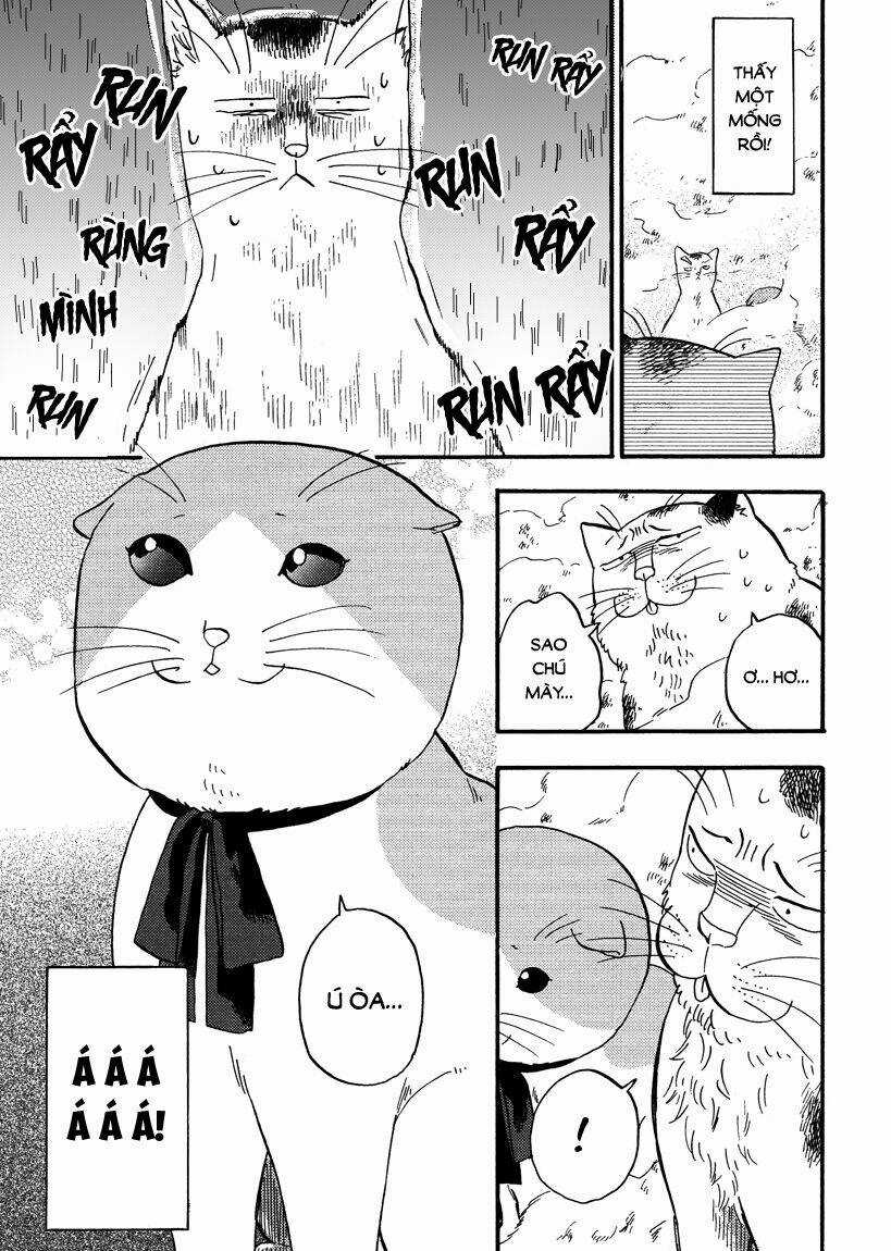 Tui Là Busamen - Chapter 8 - Trang 5