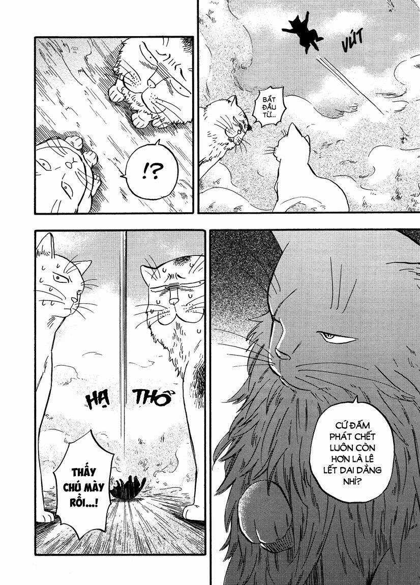 Tui Là Busamen - Chapter 8 - Trang 8