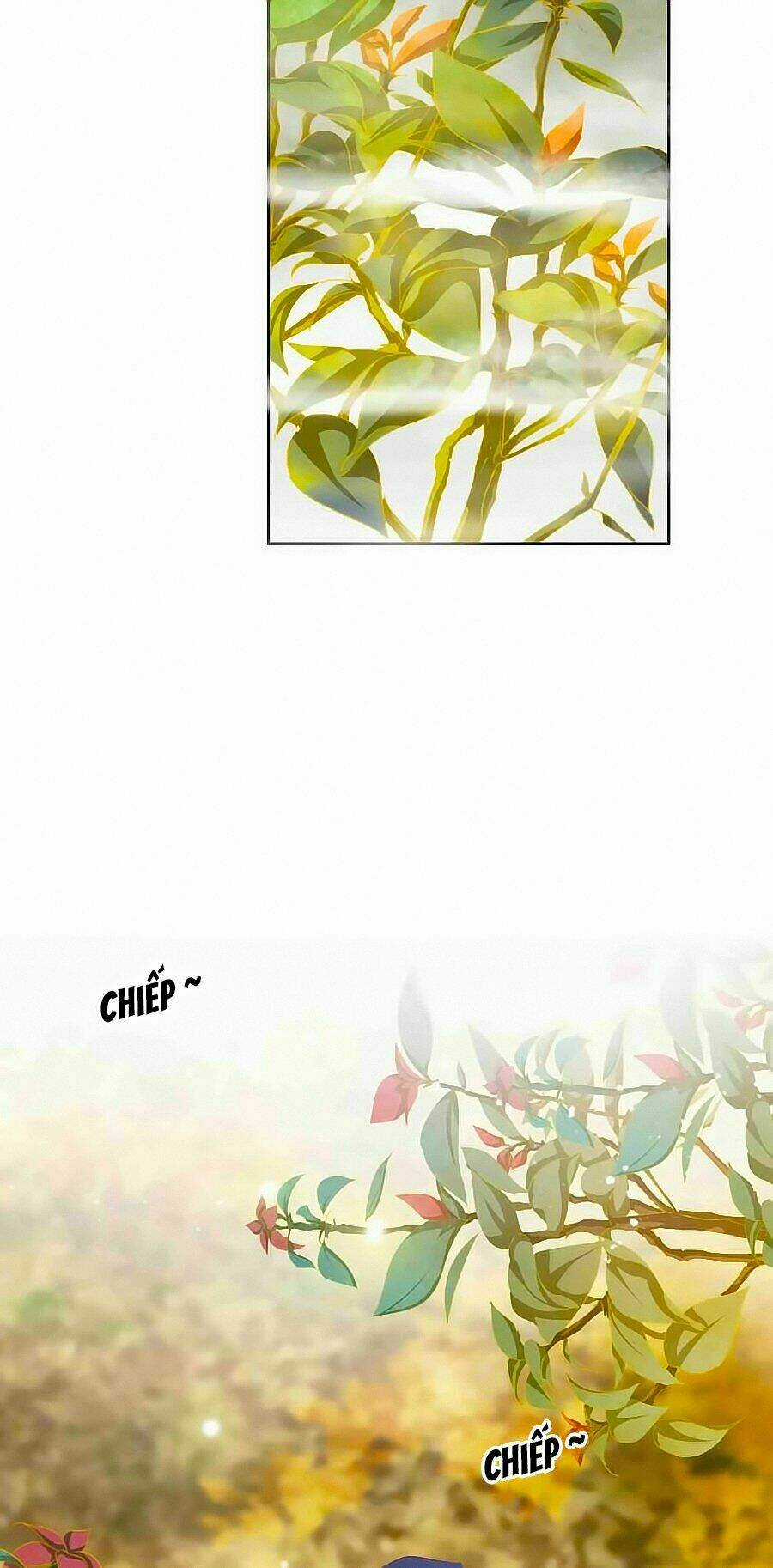 Tưởng Nhập Phi Phi - Chapter 52 - Trang 25