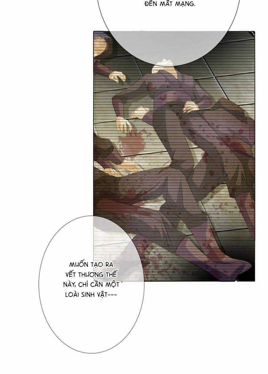 Tưởng Nhập Phi Phi - Chapter 63 - Trang 24