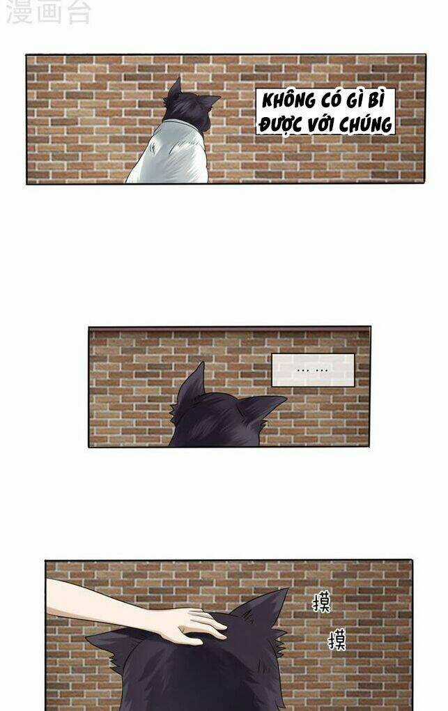 Tuyệt Thế Binh Vương - Chapter 13 - Trang 4