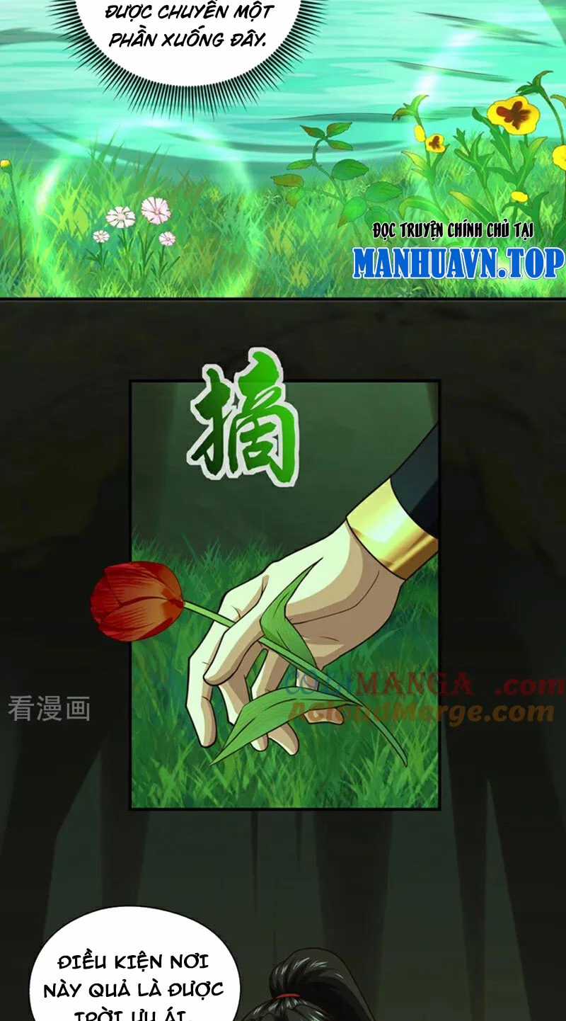 Tuyệt Thế Đan Thần - Chapter 162 - Trang 10