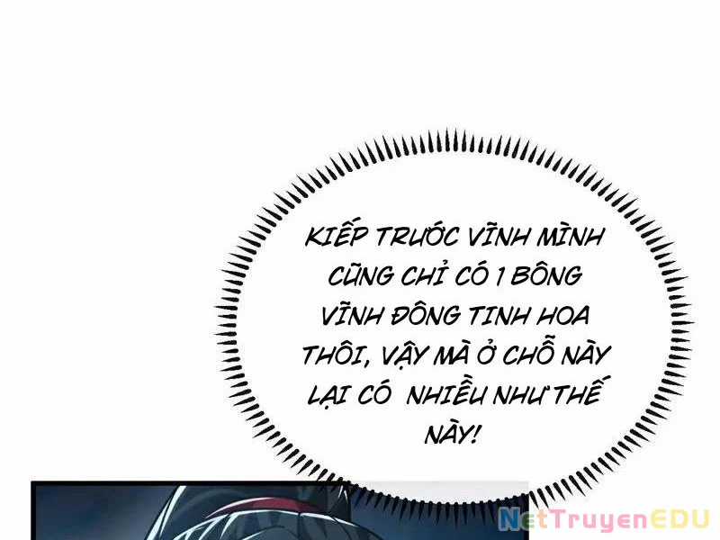 Tuyệt Thế Đan Thần - Chapter 178 - Trang 14