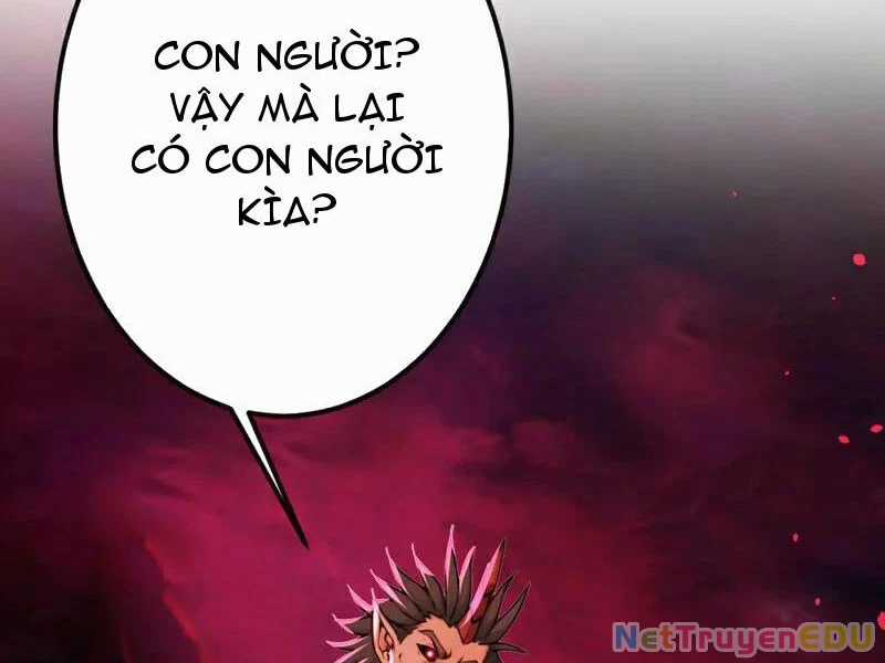 Tuyệt Thế Đan Thần - Chapter 245 - Trang 5