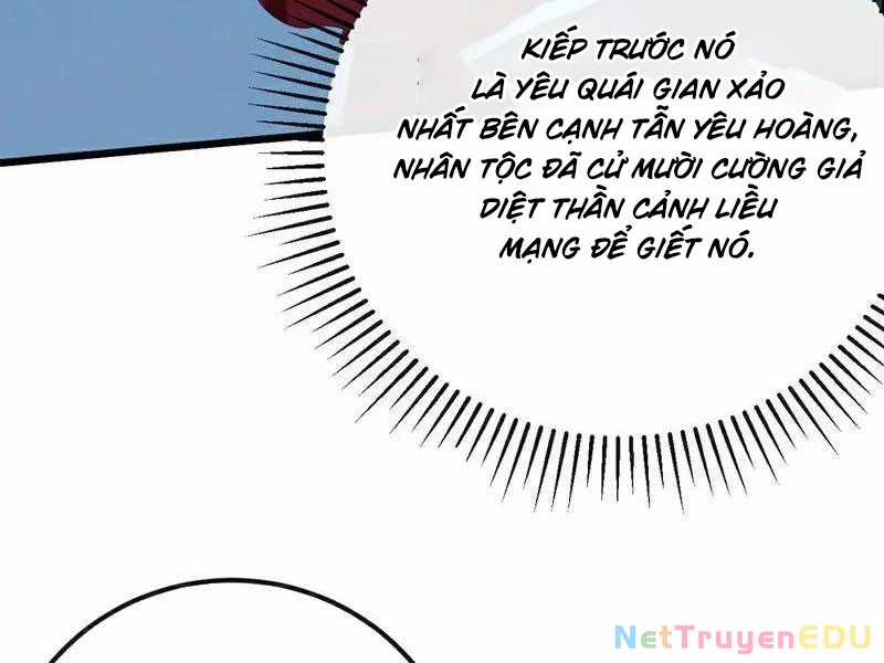 Tuyệt Thế Đan Thần - Chapter 255 - Trang 5