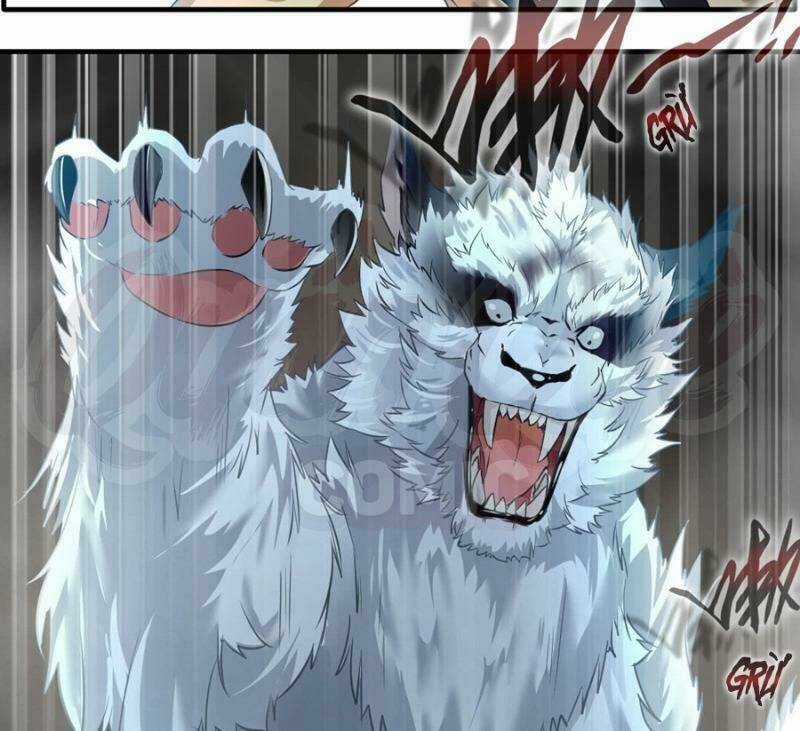 Tuyệt Thế Đế Tôn - Chapter 12 - Trang 5