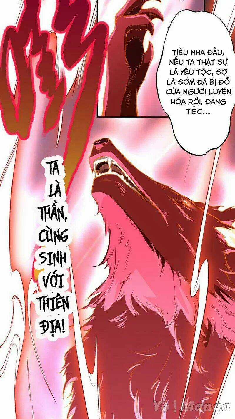 Tuyệt Thế Luyện Đan Sư - Chapter 113 - Trang 16