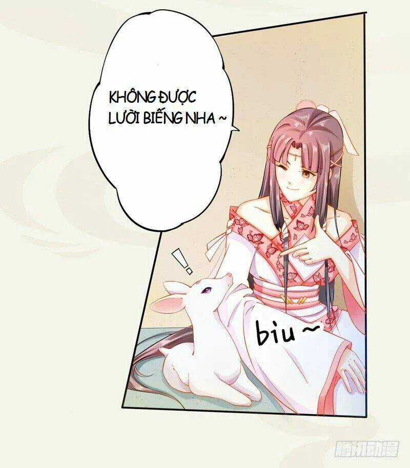 Tuyệt Thế Luyện Đan Sư - Chapter 12 - Trang 13