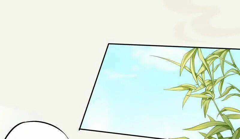 Tuyệt Thế Luyện Đan Sư - Chapter 12 - Trang 14