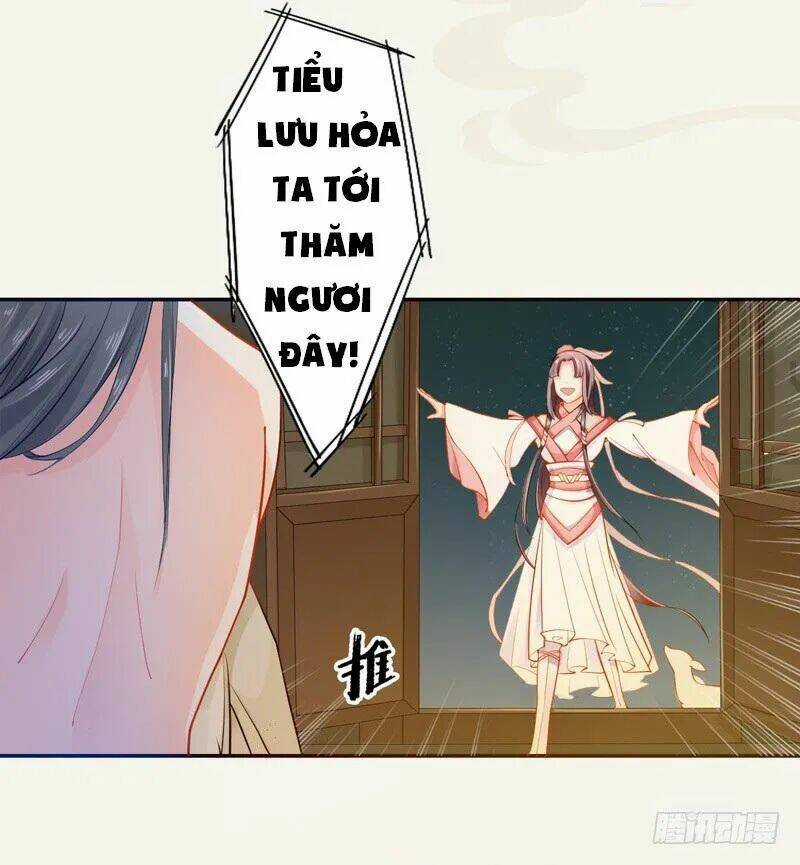 Tuyệt Thế Luyện Đan Sư - Chapter 12 - Trang 24