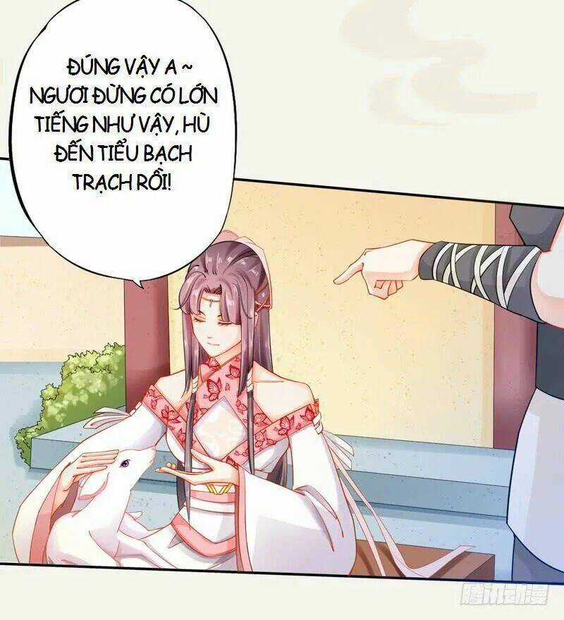 Tuyệt Thế Luyện Đan Sư - Chapter 12 - Trang 4