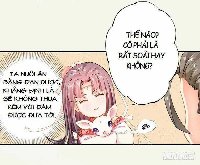 Tuyệt Thế Luyện Đan Sư - Chapter 12 - Trang 8