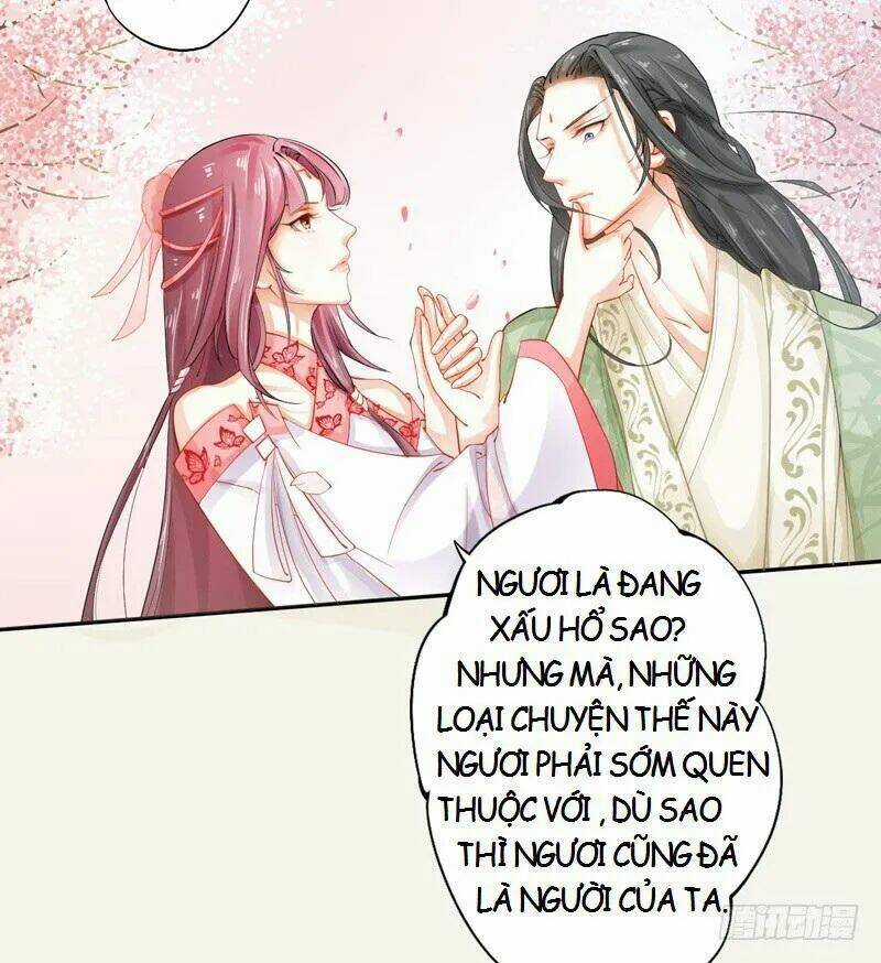 Tuyệt Thế Luyện Đan Sư - Chapter 13 - Trang 24