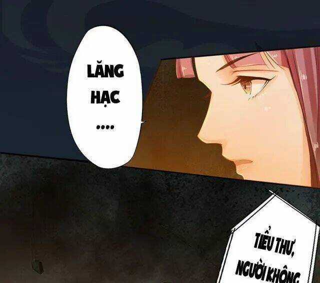 Tuyệt Thế Luyện Đan Sư - Chapter 15 - Trang 3