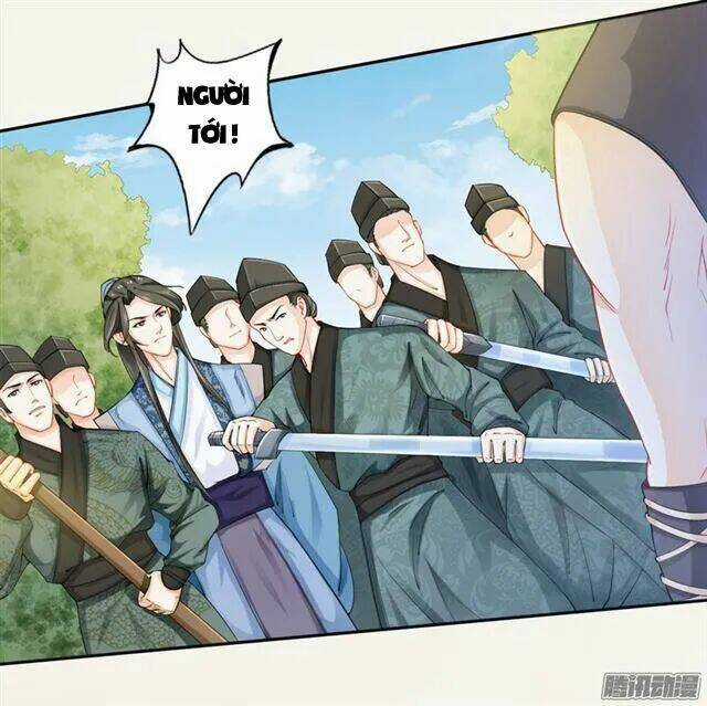 Tuyệt Thế Luyện Đan Sư - Chapter 16 - Trang 3